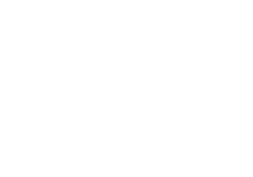 VN Code Pro Logo